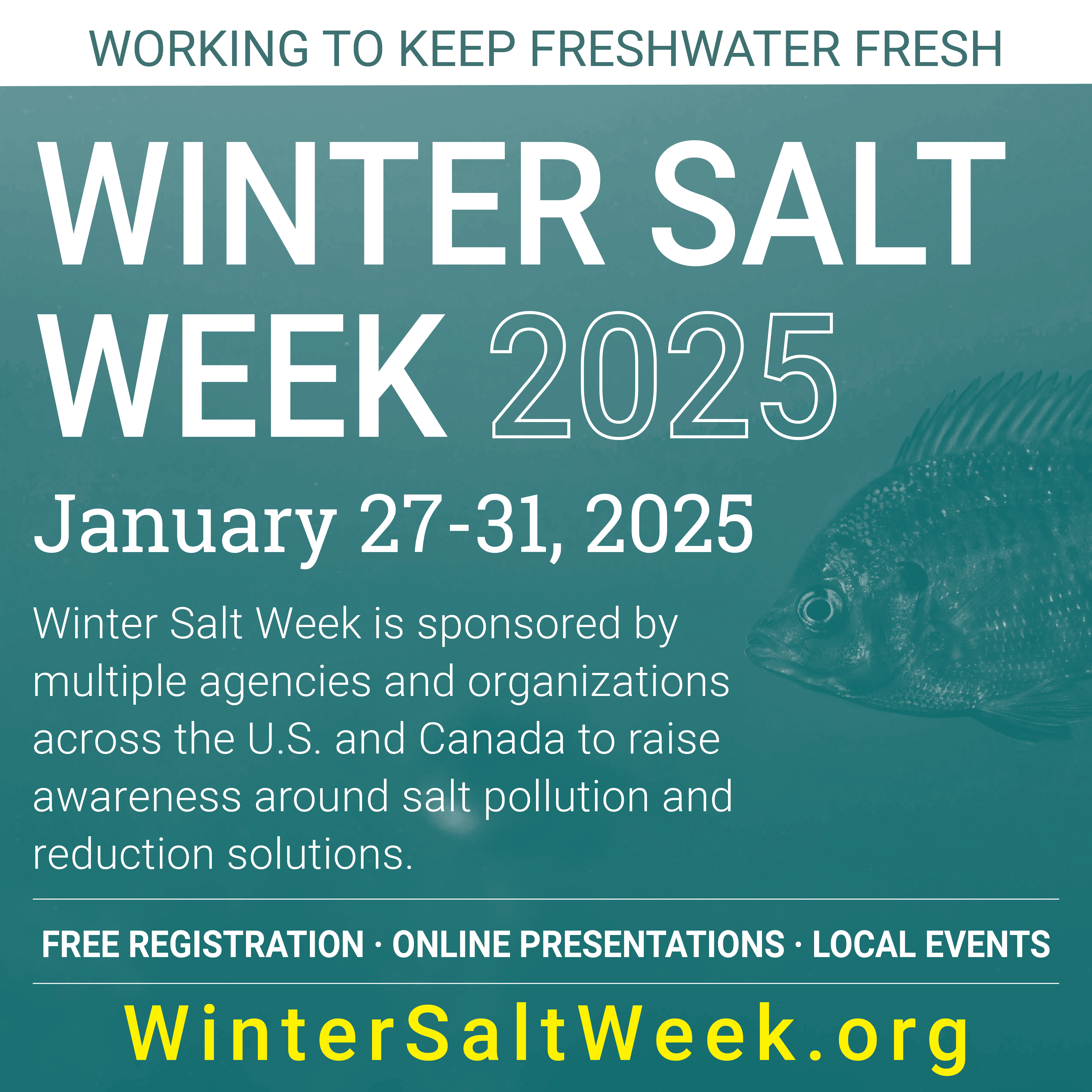 Winter Salt Week with illustration of a fish outlined in the background