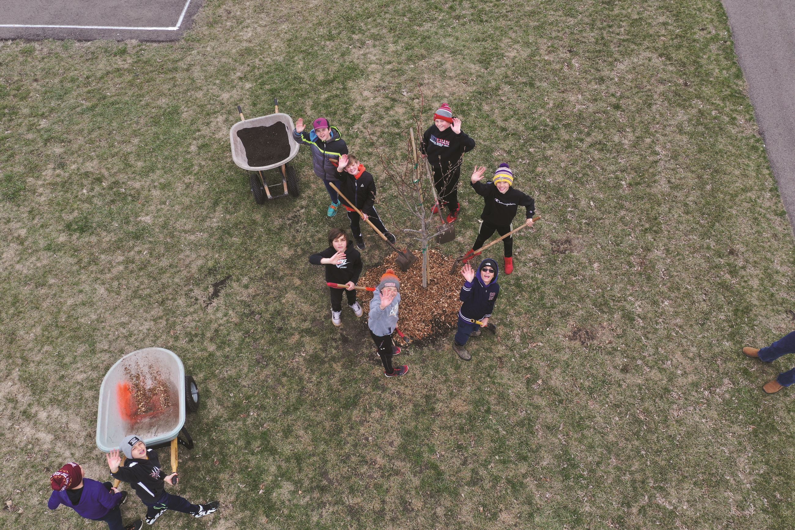 Tree Planting Arbor Day aerial view of people with shovels around a tree