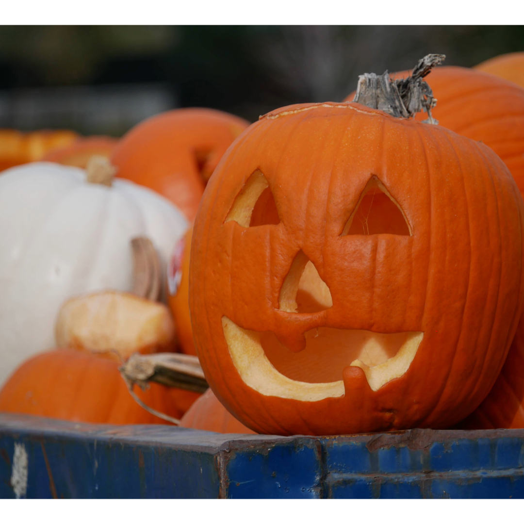 Carved pumpkins piled up in a dumpster