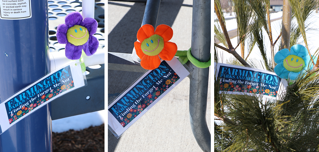 Plush flowers with tags that say "Farmington Parks and Recreation's "Finding the Forget-Me-