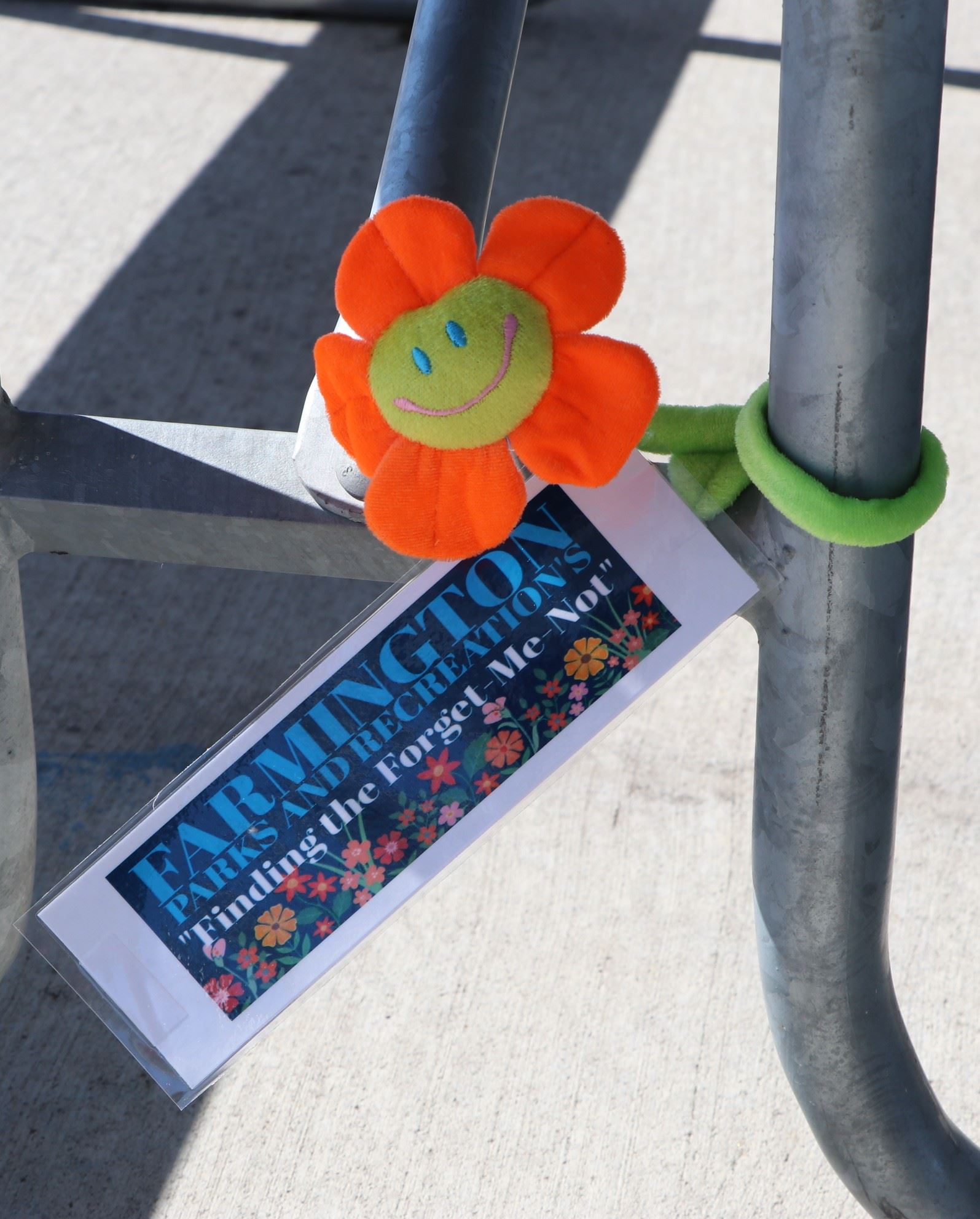 Forget-Me-Not Orange Flower with tag for the clue in a park